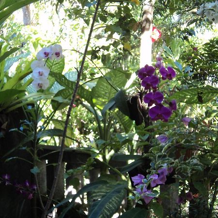 Villa Bhuana Alit Ubud Eksteriør billede