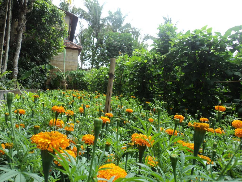 Villa Bhuana Alit Ubud Eksteriør billede