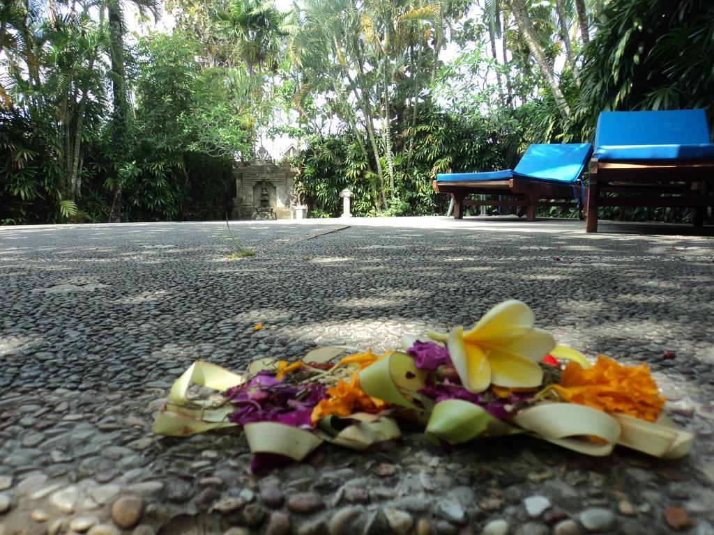 Villa Bhuana Alit Ubud Eksteriør billede