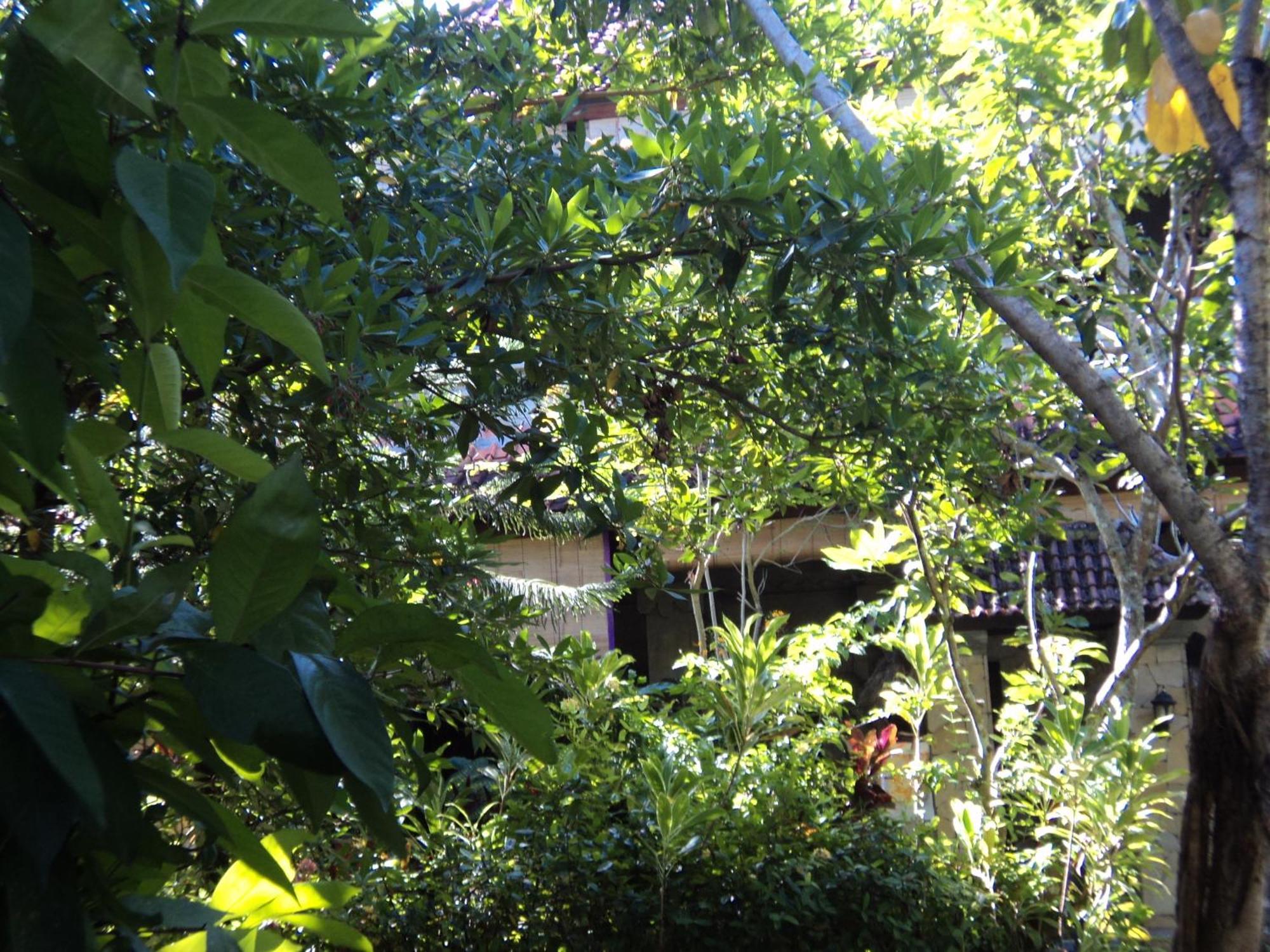 Villa Bhuana Alit Ubud Eksteriør billede
