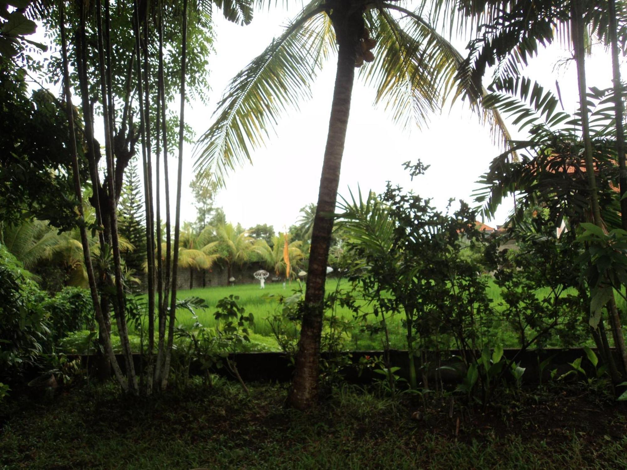 Villa Bhuana Alit Ubud Værelse billede