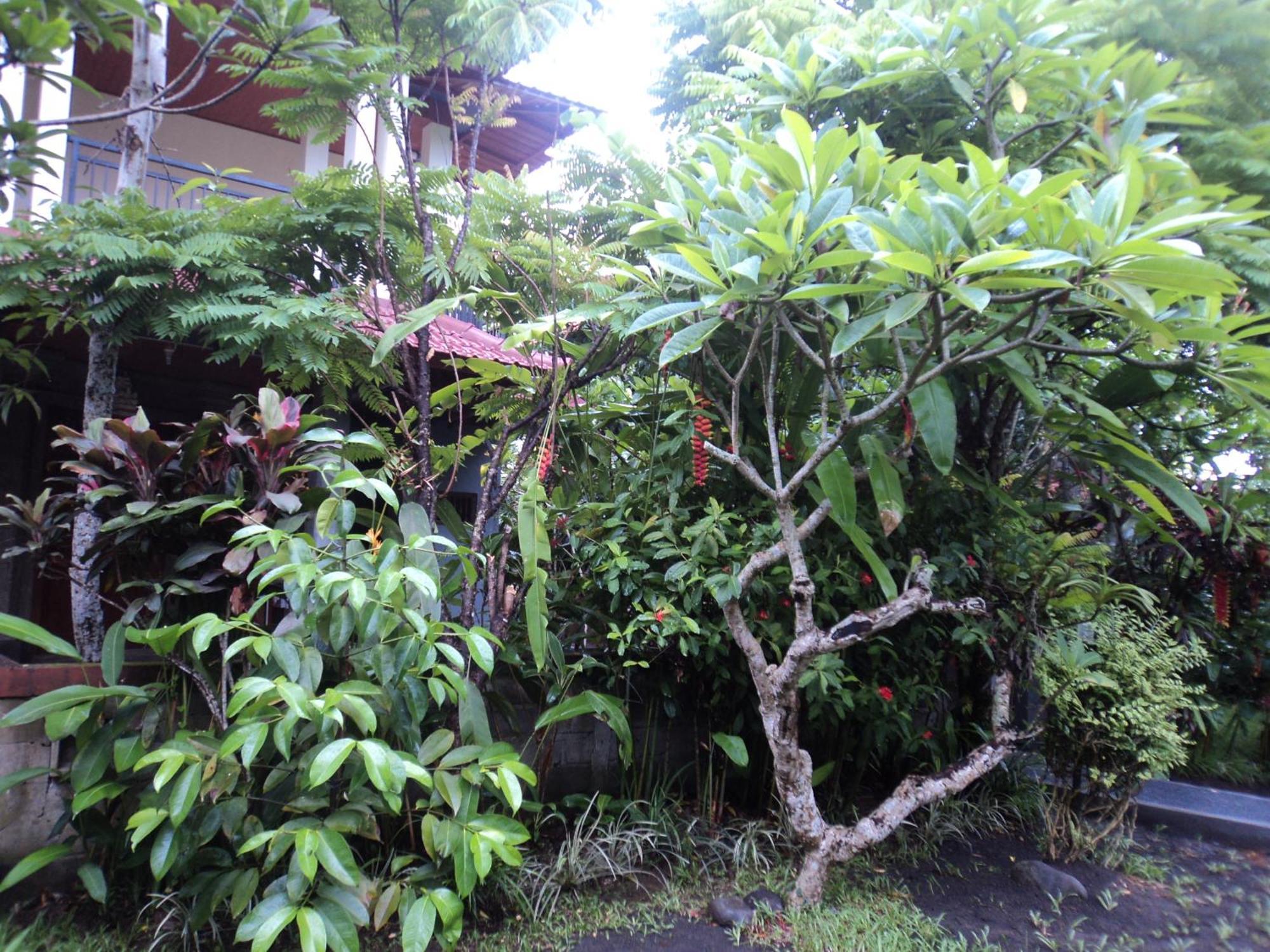 Villa Bhuana Alit Ubud Værelse billede